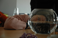 dissolving dress, london college of fashion: photo - Alex Maguire