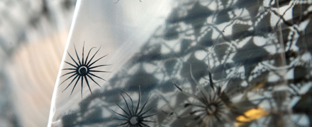 Photo of detail from one of the fabrics - fine gauze with spidery adhesions.